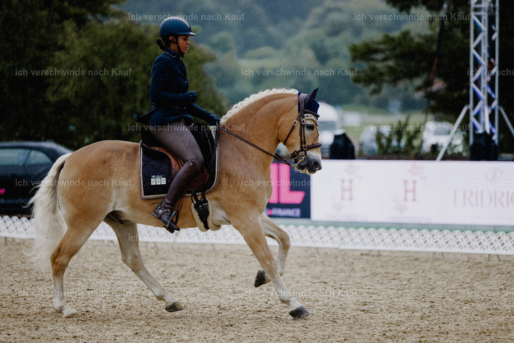 Tanesha5FHC2025-24874 | working equitationturnier fotograf videograf stoibphotography marixx film working equitation deutschland reitsport turnierfotografie eventfotografie equestrian events