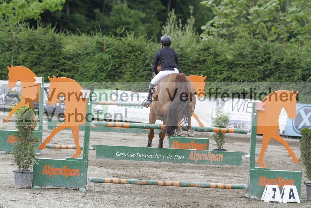 _MG_5302 | equestrian-live-com