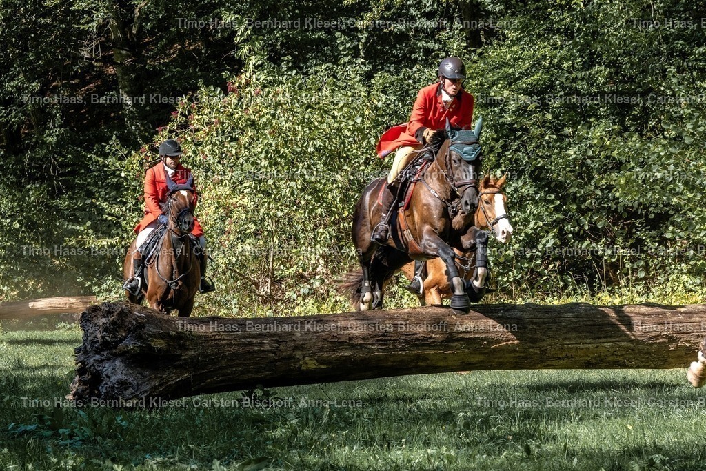 A1B09688 | foto-team-bernhard - Realisiert mit Pictrs.com