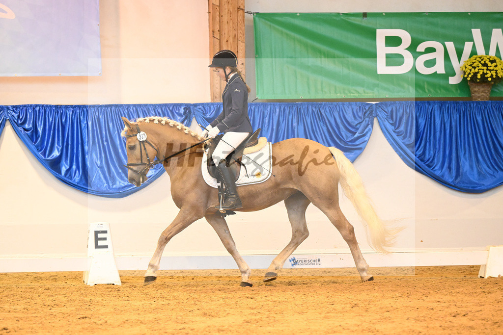 Kat-Nr. 330 Pauline_Linder_54222225 | hf-fotografie - Realisiert mit Pictrs.com