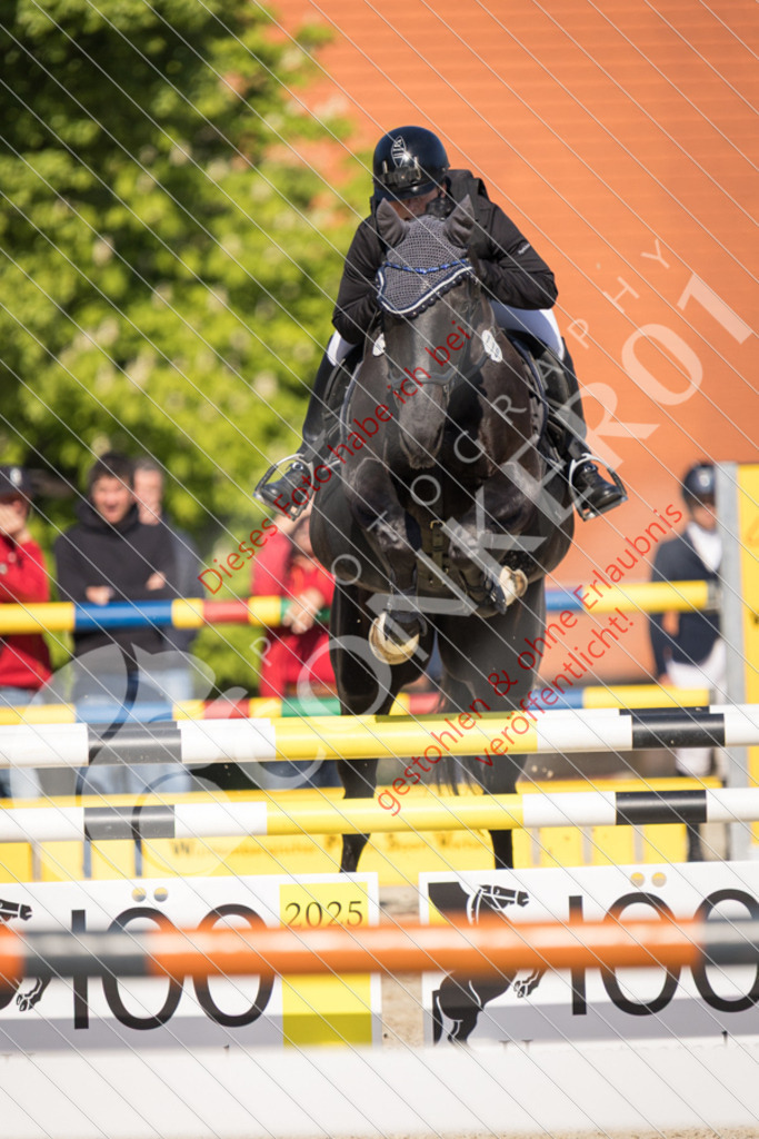 IMG_3363 | Sport-, Event- und Tierfotos in Profiqualität. Einfach auswählen, bestellen und herunterladen. Dein Moment – perfekt festgehalten.