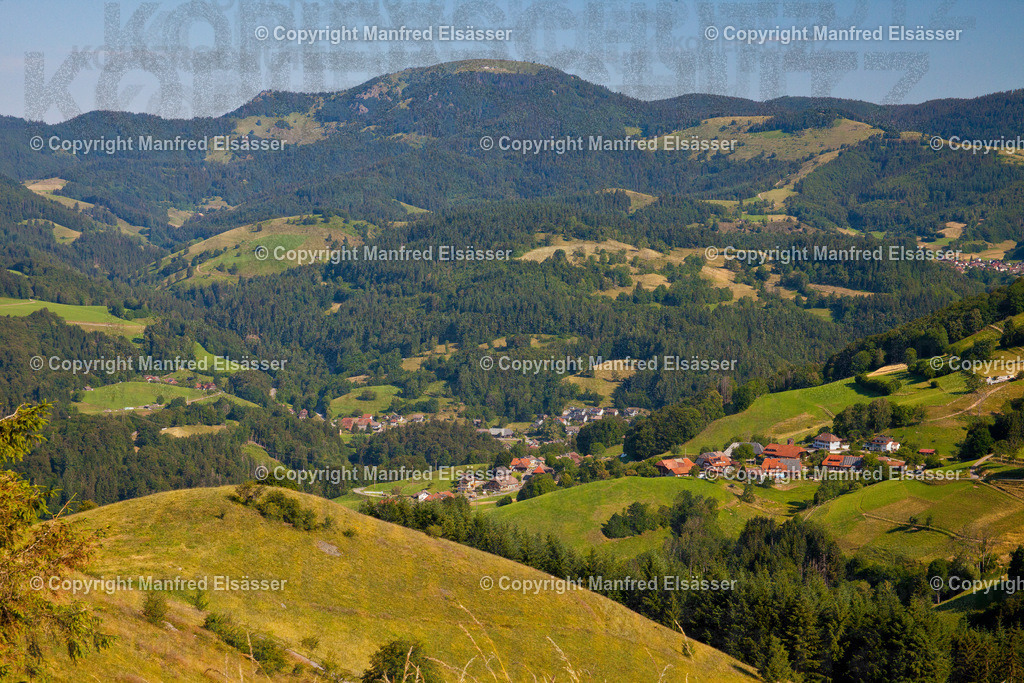 260619-037 BN | Wald, Ruhe, Erholung, Abschalten, relaxen, Augenoasen, Kraft tanken, Waldbaden, Stress reduzieren, Bäume, Kirschblüten, Frühlingswald, Sonne im Wald, Licht im Wald, Herbstwald, Waldwege, Gebirgswald, Wasser im Wald, Felsen im Wald, - Realisiert mit Pictrs.com