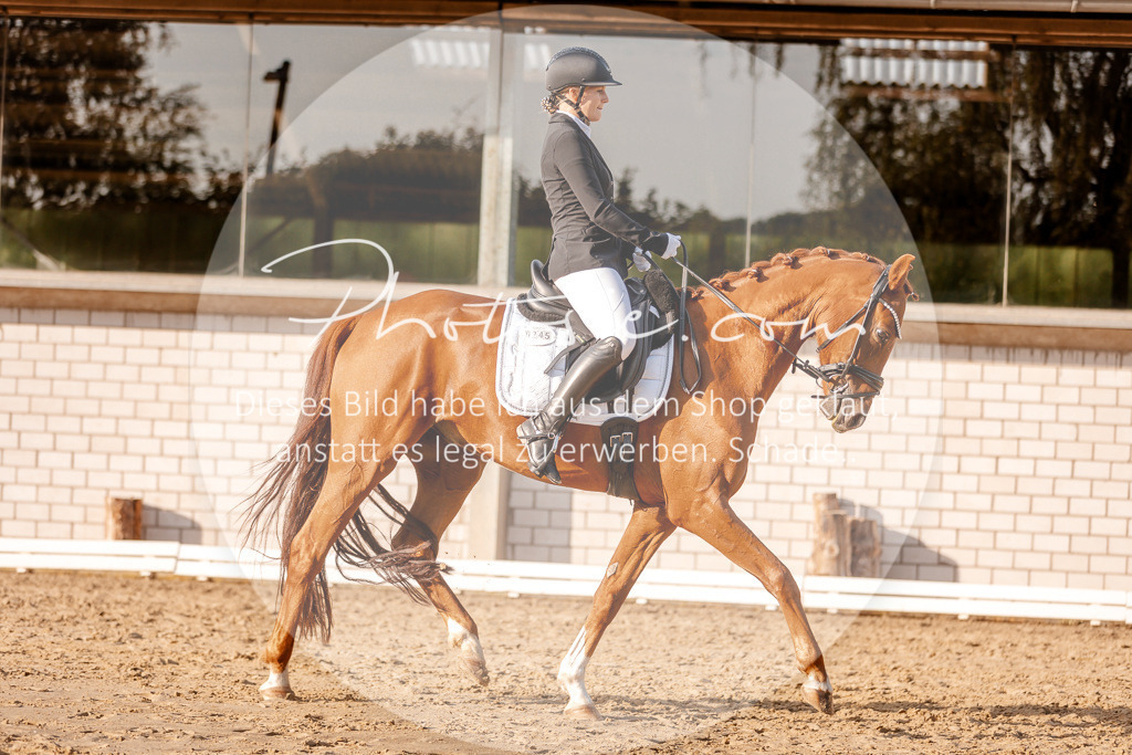 3I6A2521 | Stimmungsvolle Portraits und Reitsportfotografie im Ruhrgebiet und im Münsterland.

Pferdefotografie, Hundefotografie, Tierfotografie, Reportagen, Portraits von Tier und Mensch, Turnierfotografie in Bochum, Recklinghausen, Marl, Haltern am See, Dülmen.. - Realisiert mit Pictrs.com