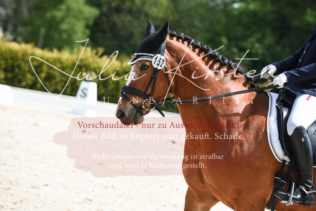 20230518_JK-Röhrsdorf-11-0581 | Pferde- und Turnierfotografie in Westsachsen. Pferdeportraits, Auftragszeichnungen und intuitive Kunst.