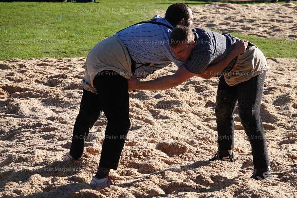 DSC01958 | Schwingen - Realisiert mit Pictrs.com