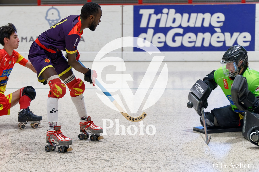 DSC_6341 | Velletri Photo