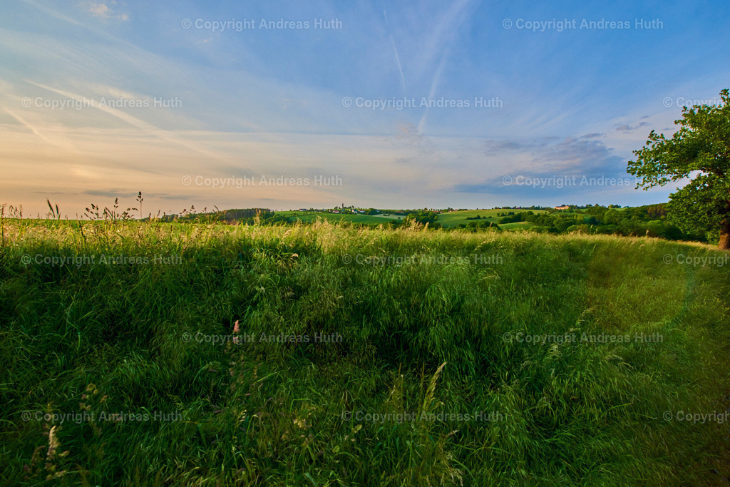 Blick in Richtung Tal der Kleinen Triebisch zwischen Kettewitz und Kobitzsch  03 | Bedeutsame Landschaften Deutschlands - Realisiert mit Pictrs.com