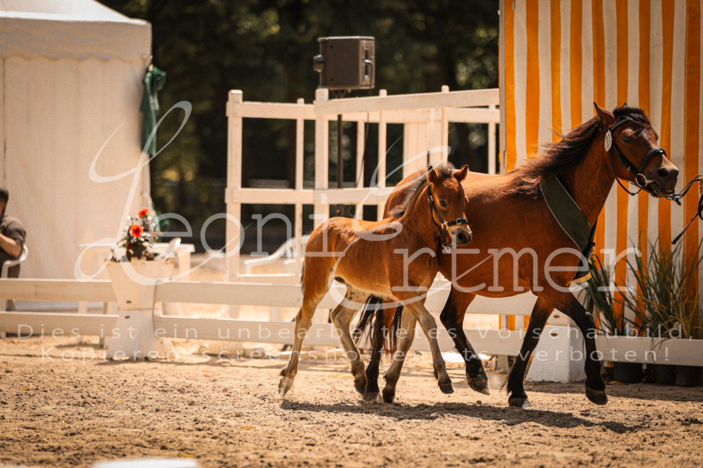 02.DoSR00230 | Leoni Ertmer Photography - Realisiert mit Pictrs.com