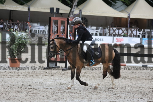 Ichenheim_2024_Prfg.Nr.26_Stilspring-WB_60cm_Frida Veil_Ulbargens EDISON (14) | Alle Fotos der Reiterjournal Fotografin Doris Matthaes im Reiterjournal Online-Fotoshop. - Realisiert mit Pictrs.com