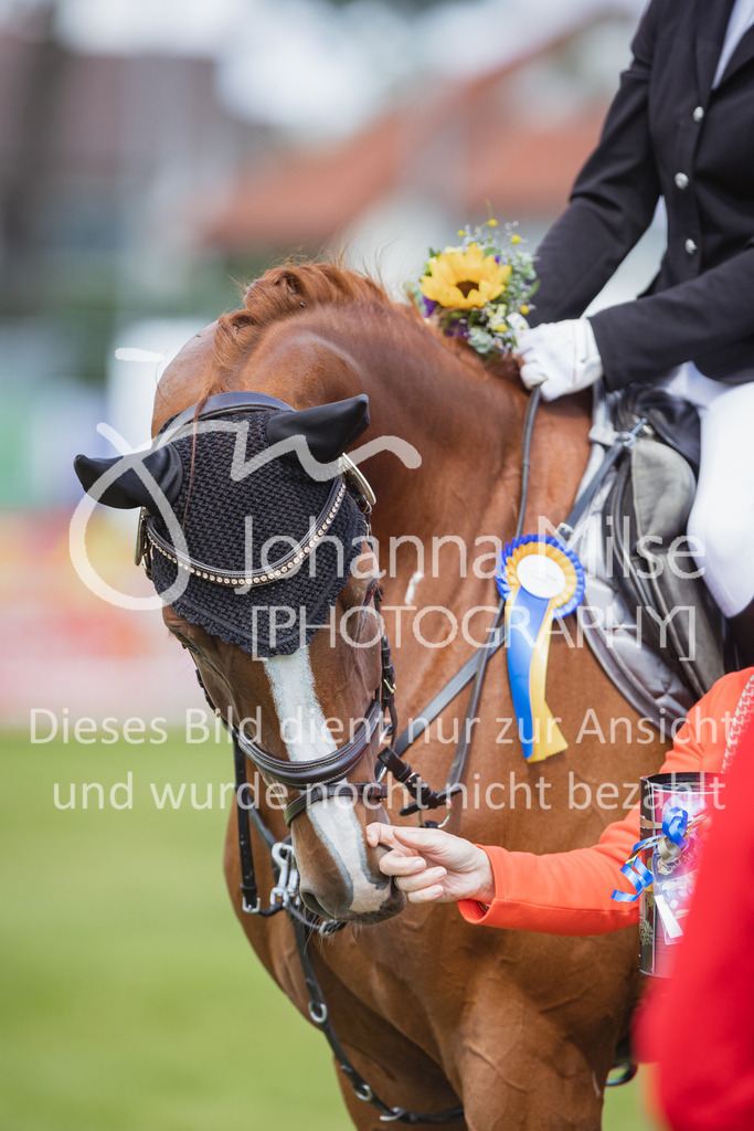 220716_LC_2Ph-A2St-125 | Deine schönsten Turniermomente als professionelle Fotos! Entdecke hochwertige Pferdesport-Fotografie im Online-Shop. Jetzt Fotos finden & bestellen!