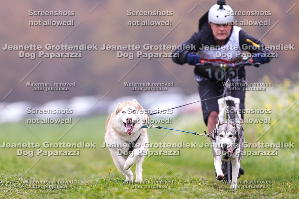 Dog Paparazzi - Visbeck 25 -119 | Dog Paparazzi Jeanette Grottendiek Fotografie & Videografie - Realisiert mit Pictrs.com