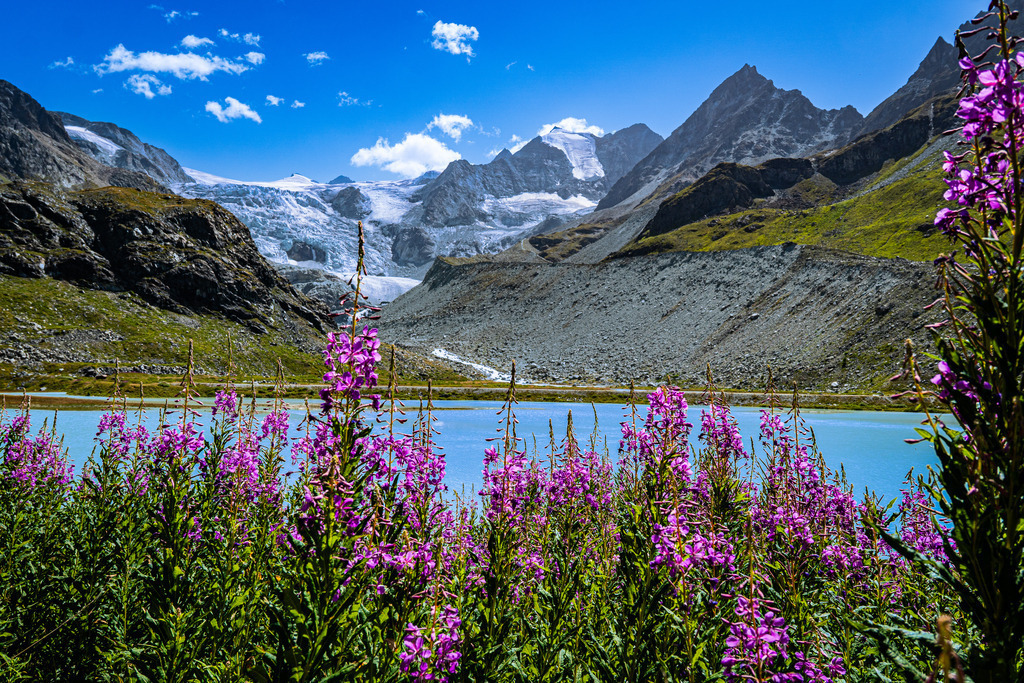 _DSC0220 | <meta name="keywords" content="Bergbilder, Hochzeitsfotografie, Actionshootings, Fotografiearbeiten, Berglandschaften, Naturfotografie">

 - Realisiert mit Pictrs.com