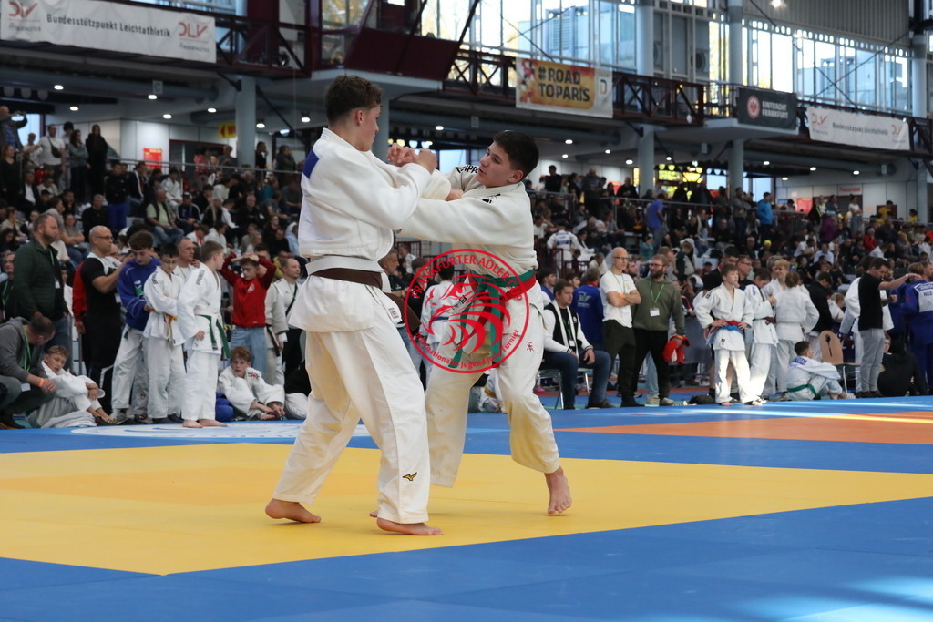 1J7A2324 | Fotos vom Adler Cup - Pictures from Adler Cup

Hier findet Ihr alle Eindrücke und großen Momente der Adler Cup Wochenenden. Here you will find all impressions and great moments of the Adler Cup weekends. - Realisiert mit Pictrs.com