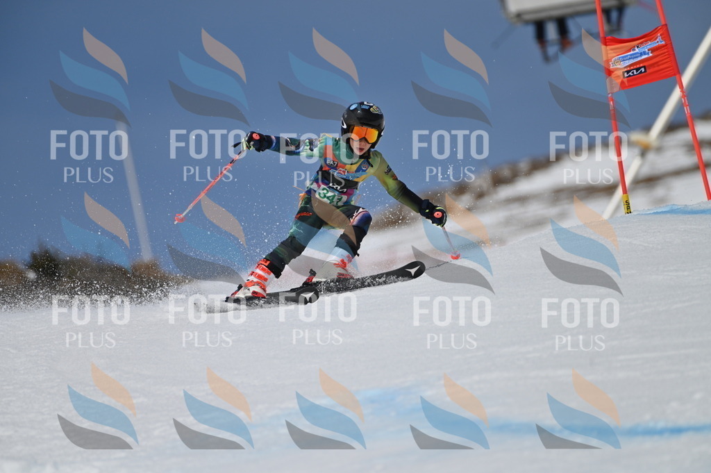 BGV_6773 | holidayphoto