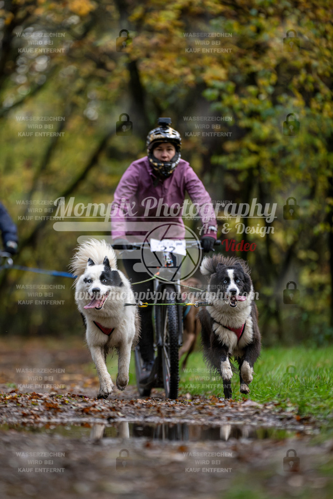 MompixPhotography_Bischwiller23_DS2-37 | mompixphotography