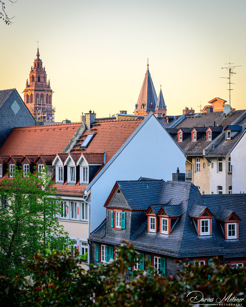 Der Mainzer Dom St Martin | Der hohe Dom St Martin zu Mainz