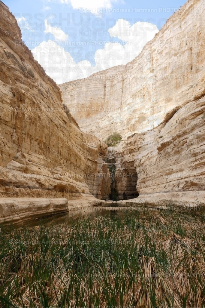 Avdatschlucht in der Wüste Negev | Avdatschlucht in der Wüste Negev - Realisiert mit Pictrs.com