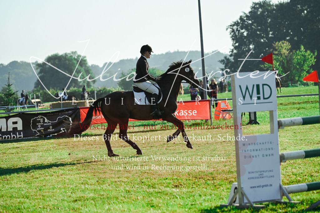 DSC_4346 | Pferde- und Turnierfotografie in Westsachsen. Pferdeportraits, Auftragszeichnungen und intuitive Kunst.