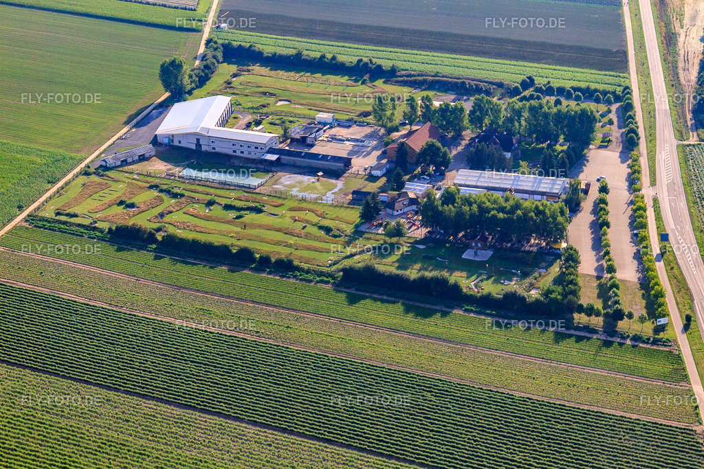 Fussballgolfpark Südpfalz auf dem Adamshof Kandel http://www.fussballgolfpark-suedpfalz.de/ http://www.kandel-adamshof.de/ | Luftbild: Fussballgolfpark Südpfalz auf dem Adamshof Kandel http://www.fussballgolfpark-suedpfalz.de/ http://www.kandel-adamshof.de/ in Kandel im Bundesland Rheinland-Pfalz in Deutschland. Foto: IMG_70340.jpg vom 19.07.2014 durch Werner Riehm/FLY-FOTO.de - Realisiert mit Pictrs.com