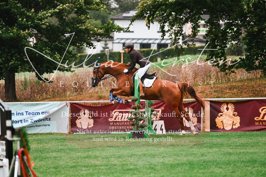 DSC_5888 | Pferde- und Turnierfotografie in Westsachsen. Pferdeportraits, Auftragszeichnungen und intuitive Kunst.