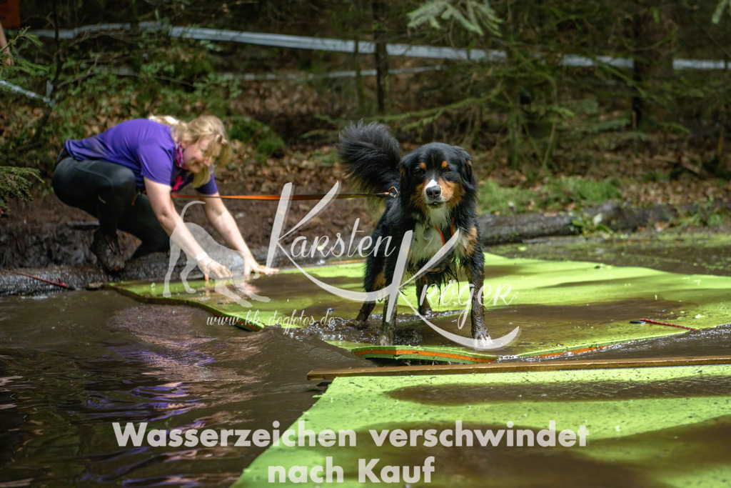 1537_ZZ91490-Bearbeitet | kk-dogfotos