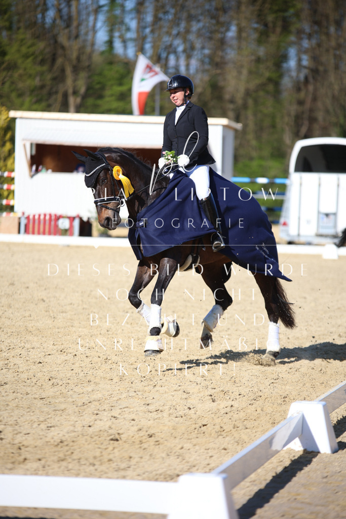 IMGT9154 | pl-fotografie