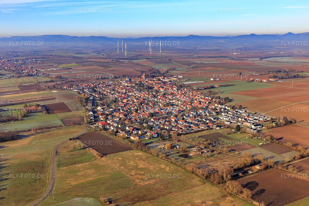 Luftbild: Ortsansicht von Südosten in Minfeld im Bundesland Rheinland-Pfalz in Deutschland. Foto: IMG_124158.jpg vom 11.01.2021 durch Werner Riehm/FLY-FOTO.de