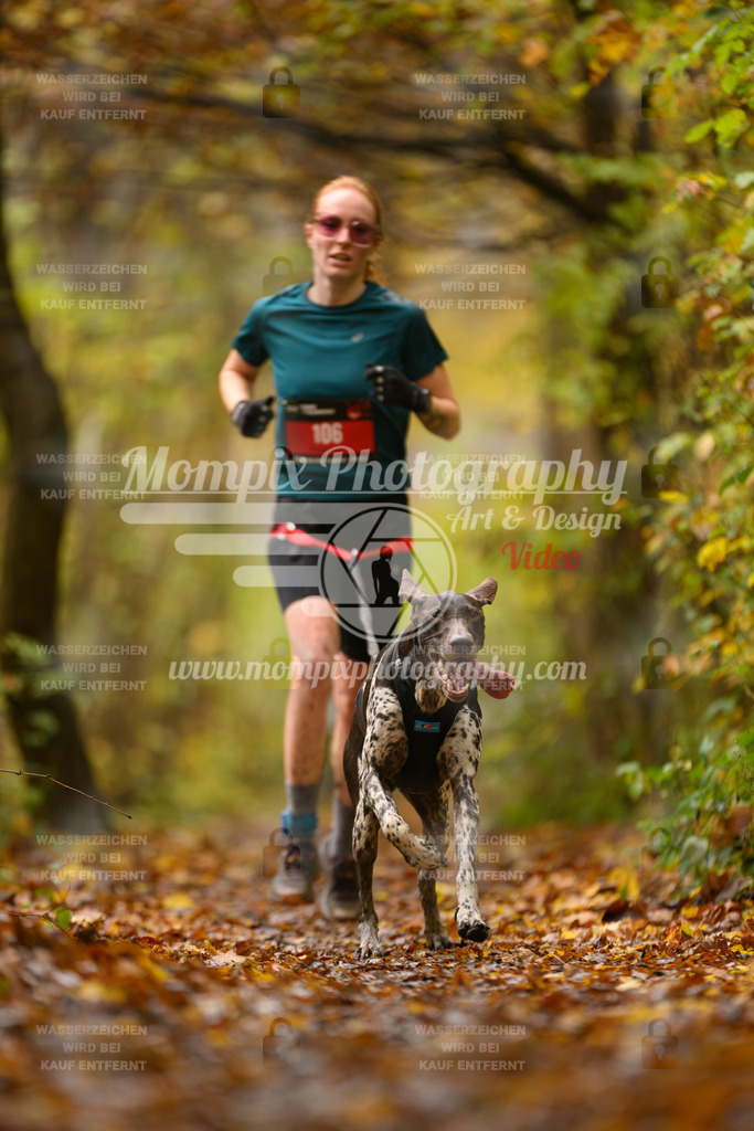 MompixPhotography_CD7S_DI_CCL-42 | mompixphotography