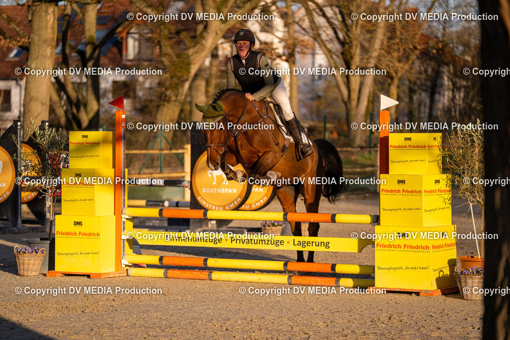 DSC-223 | dv-media-shop - Realisiert mit Pictrs.com