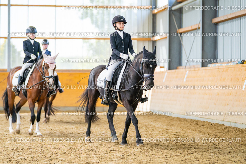 DSC01056 | Pferdegrafie