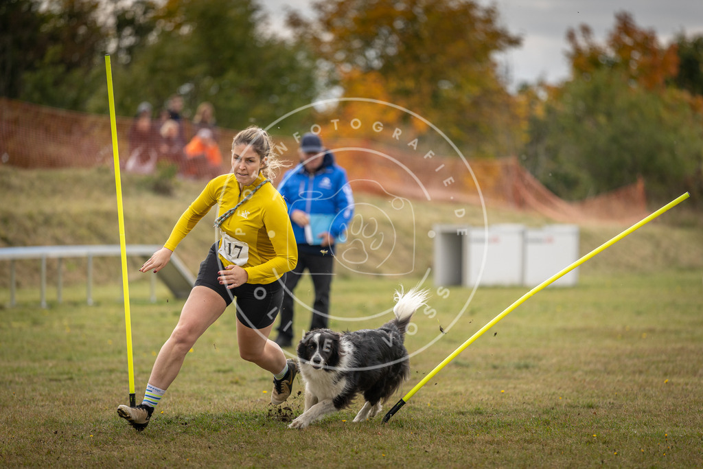 Pfotenfotografie_DV3A6968 | Hundefotografie, Tierfotograf, Pfotenfotografie, Fotoshooting Hund, Hunde Portrait, Hundesport, Hundeportraits, Heideshooting, Hunde, Sportfotograf, Hundefotograf, Turnierhundsport, THS,  - Realisiert mit Pictrs.com