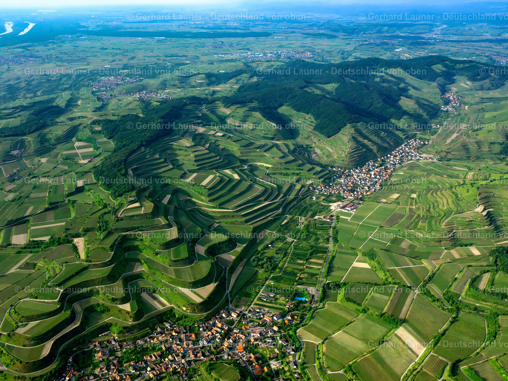 9200354 | Terassenweinberge am Kaiserstuhl bei Oberrotweil