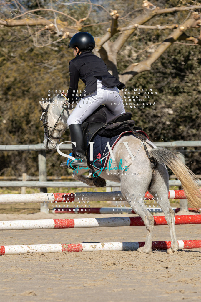 IMG_8727 | s-jay-photography - Realisiert mit Pictrs.com