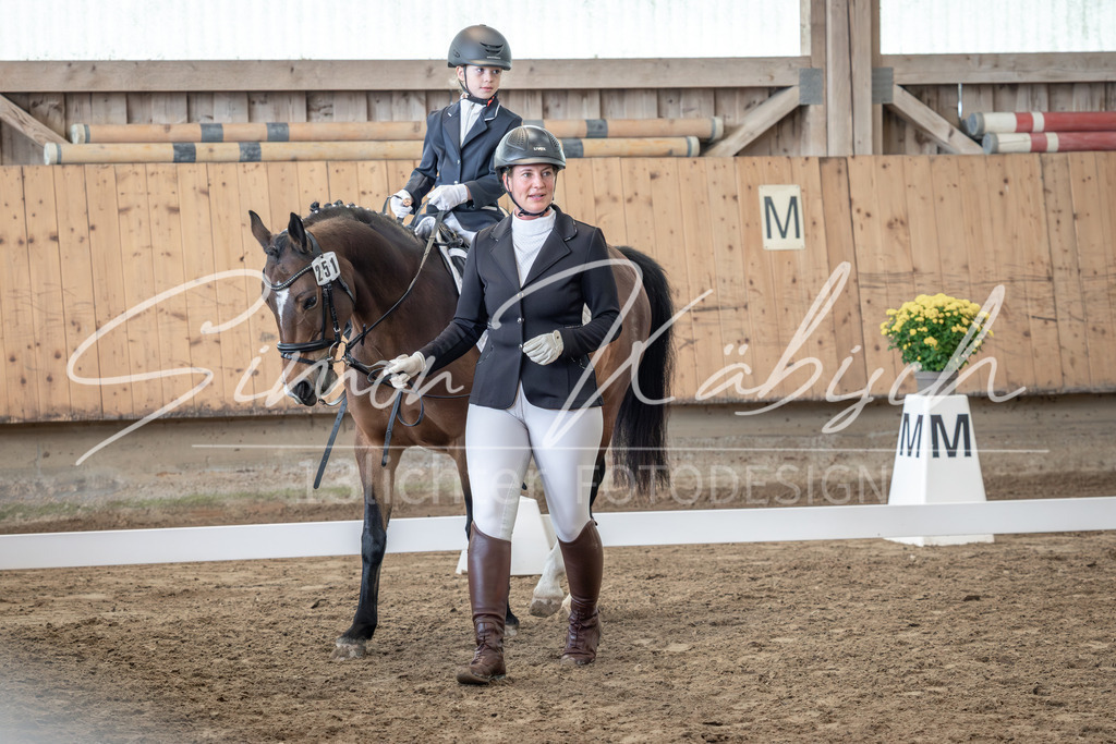 20251011-_3LI8641 | Tierfotografie Pferde, Hunde, Katzen, Haustiere.
Turnierfotografie Reitturniere, Reiten, Springreiten, Dressur in Hanau, dem Main-Kinzig-Kreis und dem Rhein-Main- Gebiet um Frankfurt