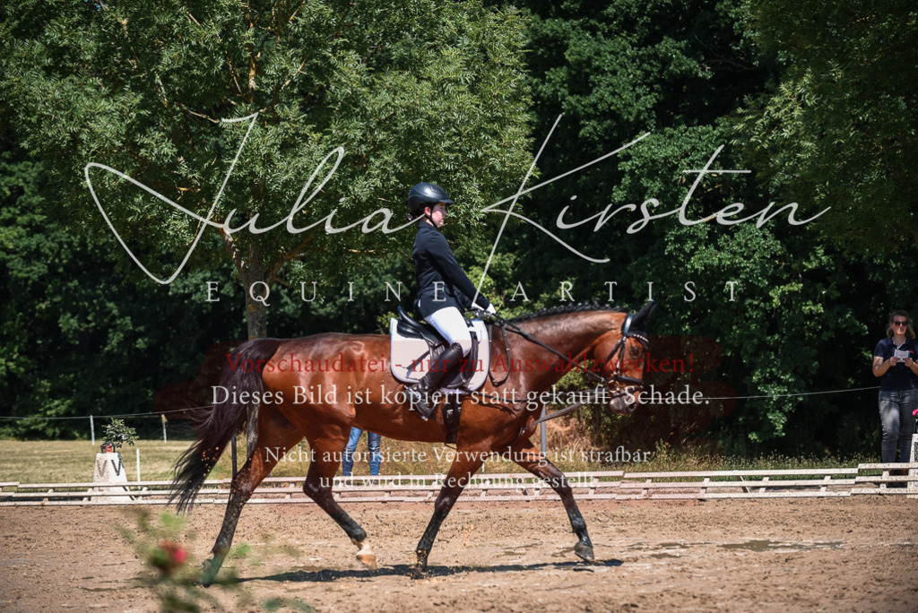 DSC_2747 | Pferde- und Turnierfotografie in Westsachsen. Pferdeportraits, Auftragszeichnungen und intuitive Kunst.