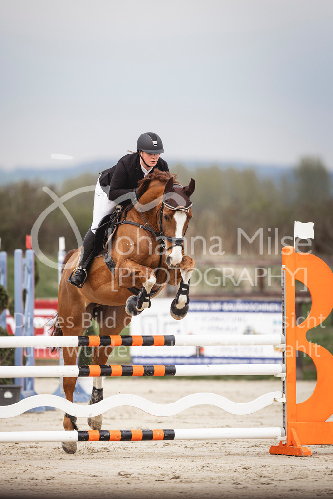240327_Fruehlingsfest_Stil-L-2-367 | Deine schönsten Turniermomente als professionelle Fotos! Entdecke hochwertige Pferdesport-Fotografie im Online-Shop. Jetzt Fotos finden & bestellen!