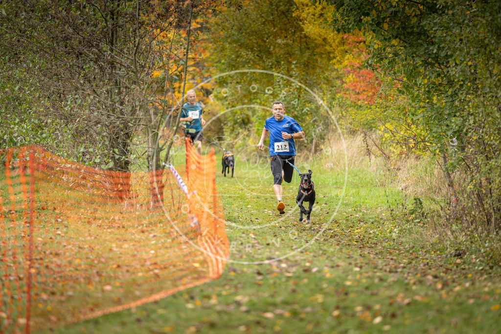 Pfotenfotografie_DV3A3939 | Hundefotografie, Tierfotograf, Pfotenfotografie, Fotoshooting Hund, Hunde Portrait, Hundesport, Hundeportraits, Heideshooting, Hunde, Sportfotograf, Hundefotograf, Turnierhundsport, THS,  - Realisiert mit Pictrs.com