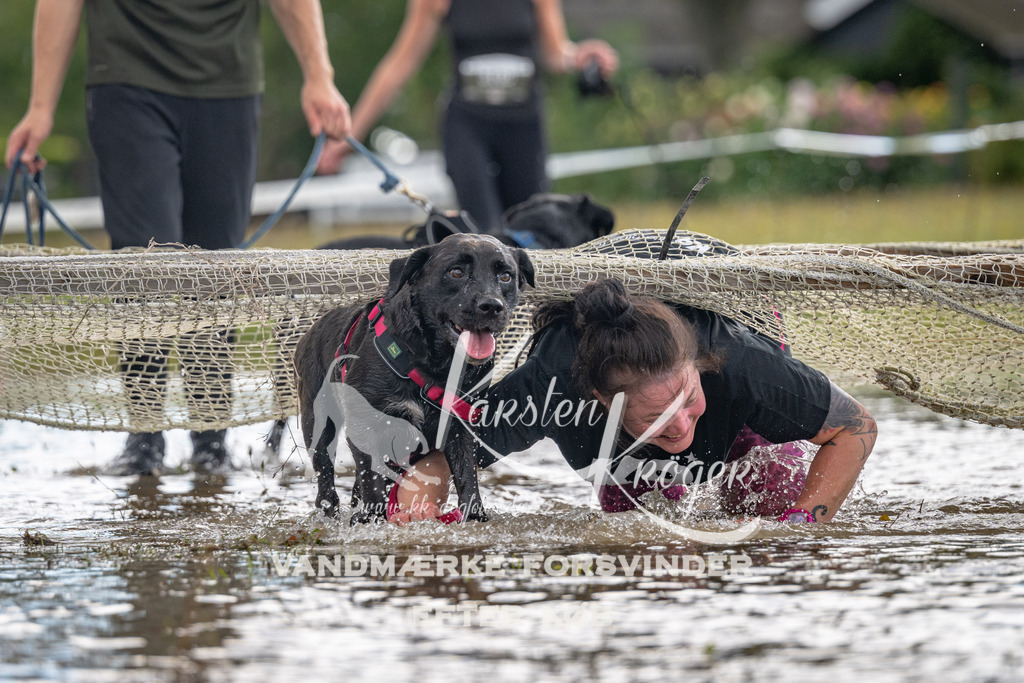 1346_ZZ91087 | kk-dogfotos