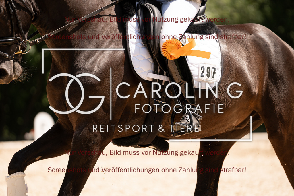 DSC05176 | Turnierfotografin Carolin Gieschke, Turnierfotografie Carolin G Fotografie, Turnierfotos Kirchheim/Teck, Esslingen, Stuttgart, Bodenseekreis