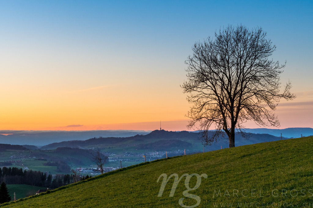 Blick ins Aaretal | Die ideale Geschenkidee für Naturliebhaber. Naturbilder von Marcel Gross Photography für ihr Zuhause in den verschiedensten Formaten und Materialien. - Realisiert mit Pictrs.com