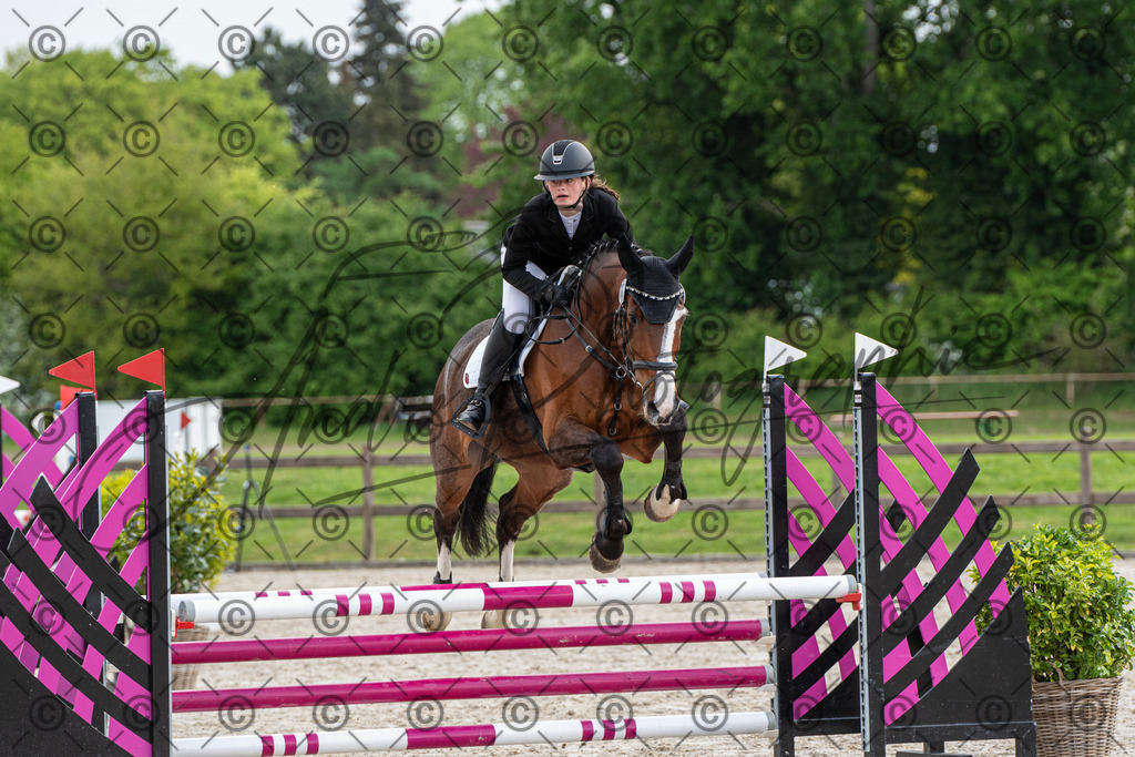 KPT_7736 | andre_photographic