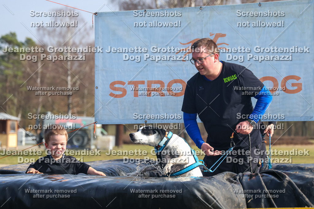 Dog Paparazzi - Strongdog North Mrz26-1866 | Dog Paparazzi Jeanette Grottendiek Fotografie & Videografie - Realisiert mit Pictrs.com