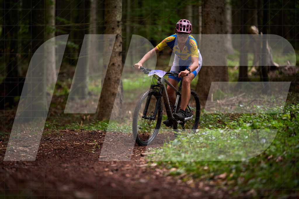 Betriebszentrum Laubenbachmühle, Frankenfels, Österreich - 13. September 2025: Dirndltal Race - Fun und Trophy RaceFotograf: Martin Bihounek / martinbihounek.com | 13. September 2025 Betriebszentrum Laubenbachmühle, Frankenfels, Österreich : Dirndltal Race - Fun und Trophy Race •••••Photo by: Martin Bihounek / martinbihounek.comInsta: @martinbihounekcom