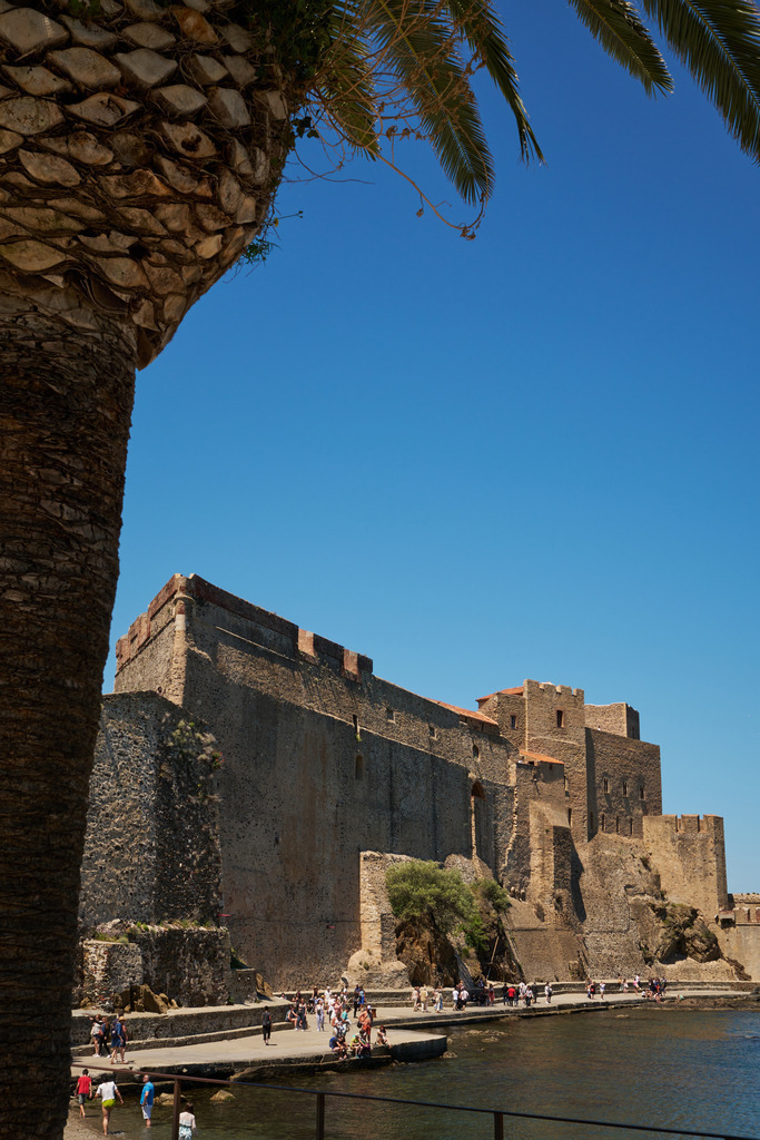 Blick über die Küste auf die Burganlage von Collioure | Collioure, Frankreich - May 11, 2024: Blick über die Küste auf die Burganlage von Collioure. - Realisiert mit Pictrs.com
