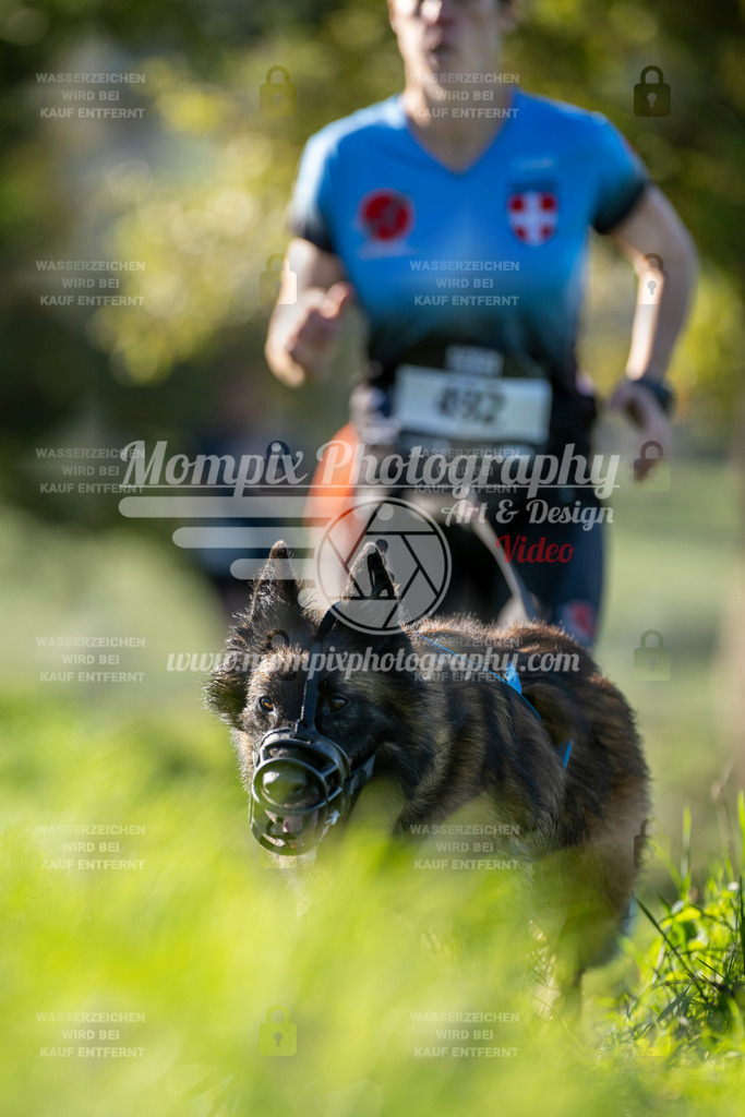 MompixPhotography_20TSB_E3_Run-116 | PayLife