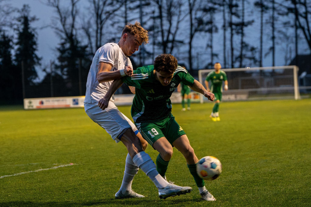 Fußball I Herren I Saison 2025-2026 I Landesliga Weser-Ems I 23. Spieltag I SFN Vechta - BW Lohne II I 01654 | jns.sportfotos - Realisiert mit Pictrs.com