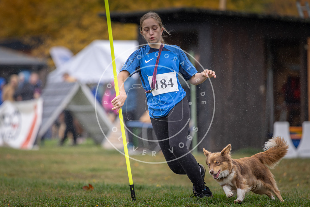 Pfotenfotografie_DV3A9722 | Hundefotografie, Tierfotograf, Pfotenfotografie, Fotoshooting Hund, Hunde Portrait, Hundesport, Hundeportraits, Heideshooting, Hunde, Sportfotograf, Hundefotograf, Turnierhundsport, THS,  - Realisiert mit Pictrs.com
