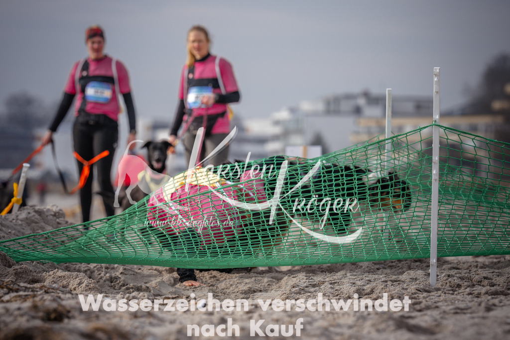 1119_ZZ98266 | kk-dogfotos