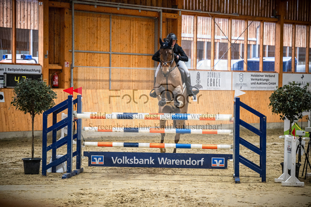 DOS_1919 | Entdecke hochwertige Reitturnierfotos von Foto Oger. Professionell, emotional und authentisch – jetzt Lieblingsmomente im Shop bestellen.Deutschlandweite Turnierfotografie. - Realisiert mit Pictrs.com