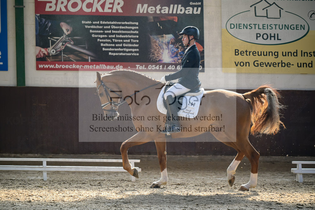Reitturnier Voxtrup | Entdecke hochwertige Reitturnierfotos von Foto Oger. Professionell, emotional und authentisch – jetzt Lieblingsmomente im Shop bestellen.Deutschlandweite Turnierfotografie. - Realisiert mit Pictrs.com